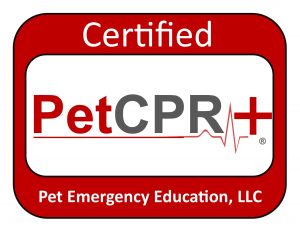 Pet CPR and First Aid Certification Training - CooL Compressions CPR